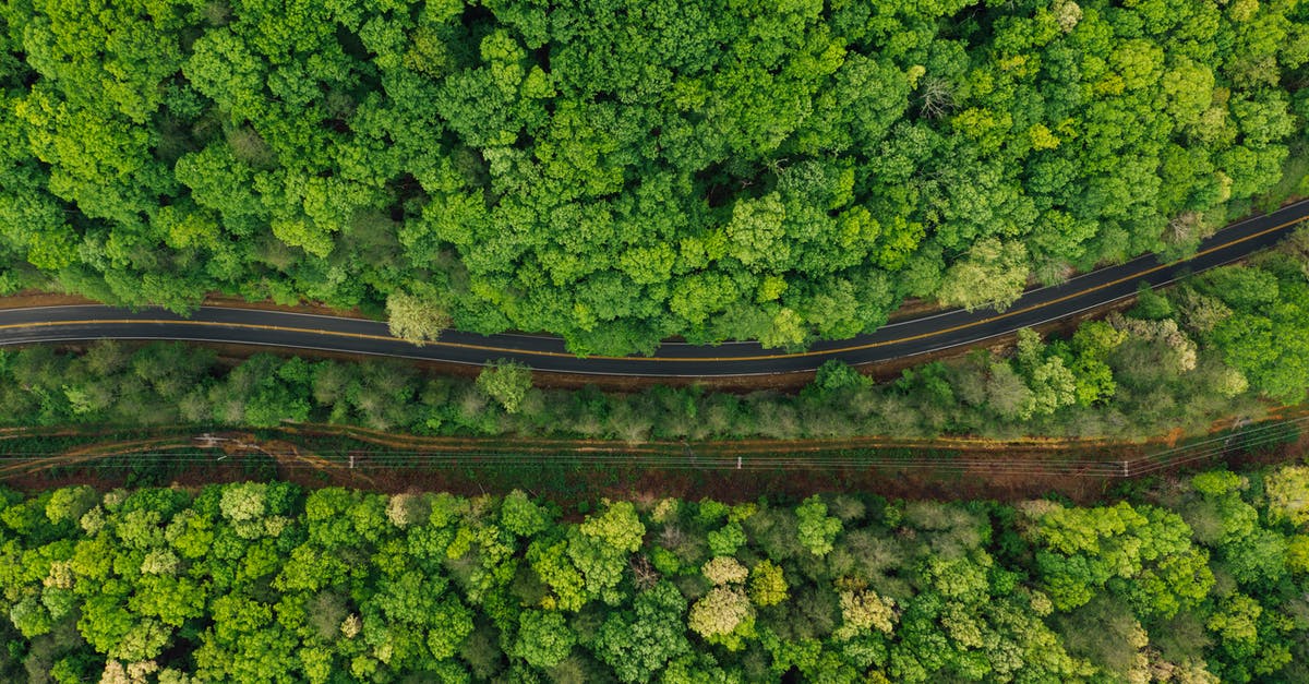 Can I die my way through the Wasteland to get better loot? - Narrow asphalt roadway amidst lush forest Can I die my way through the Wasteland to get better loot? - Narrow asphalt roadway amidst lush forest