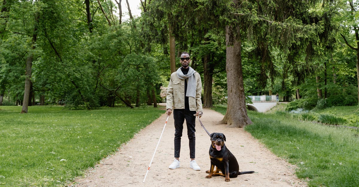 Can I disable my Companion in Skyforge? - Man Standing on Pathway with a Black Dog Can I disable my Companion in Skyforge? - Man Standing on Pathway with a Black Dog