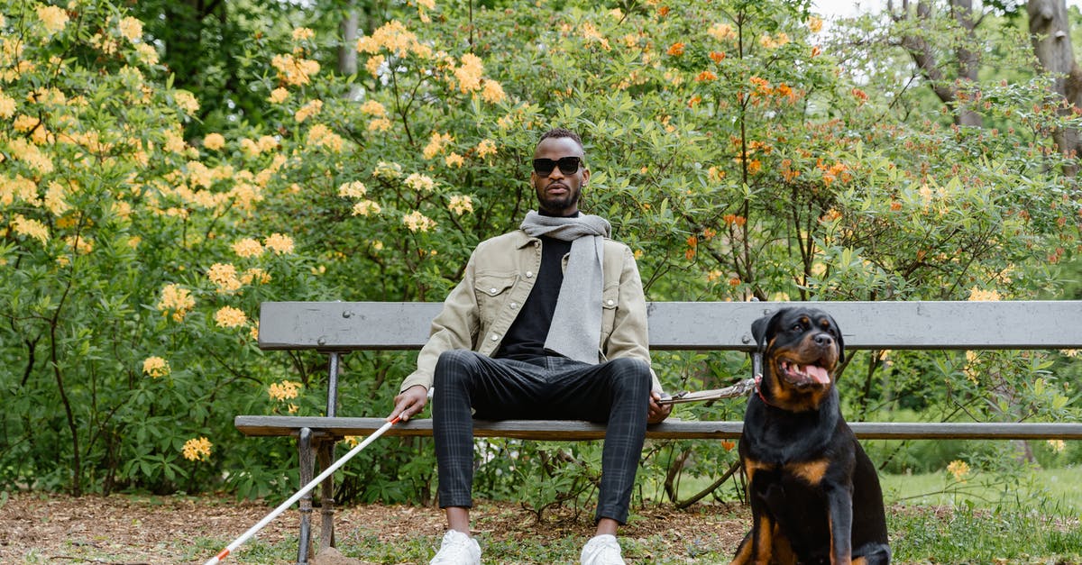 Can I disable my Companion in Skyforge? - Man Sitting on Wooden Bench Beside a Black and Brown Short Coated Dog Can I disable my Companion in Skyforge? - Man Sitting on Wooden Bench Beside a Black and Brown Short Coated Dog