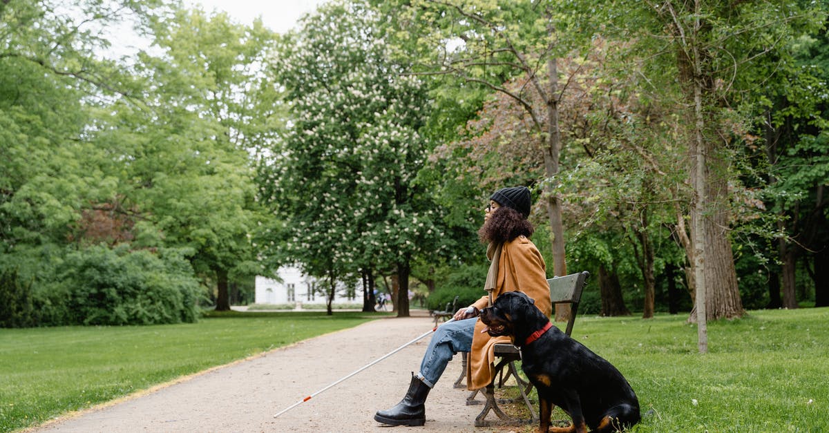 Can I disable my Companion in Skyforge? - Woman Sitting on the Bench with her Dog Can I disable my Companion in Skyforge? - Woman Sitting on the Bench with her Dog