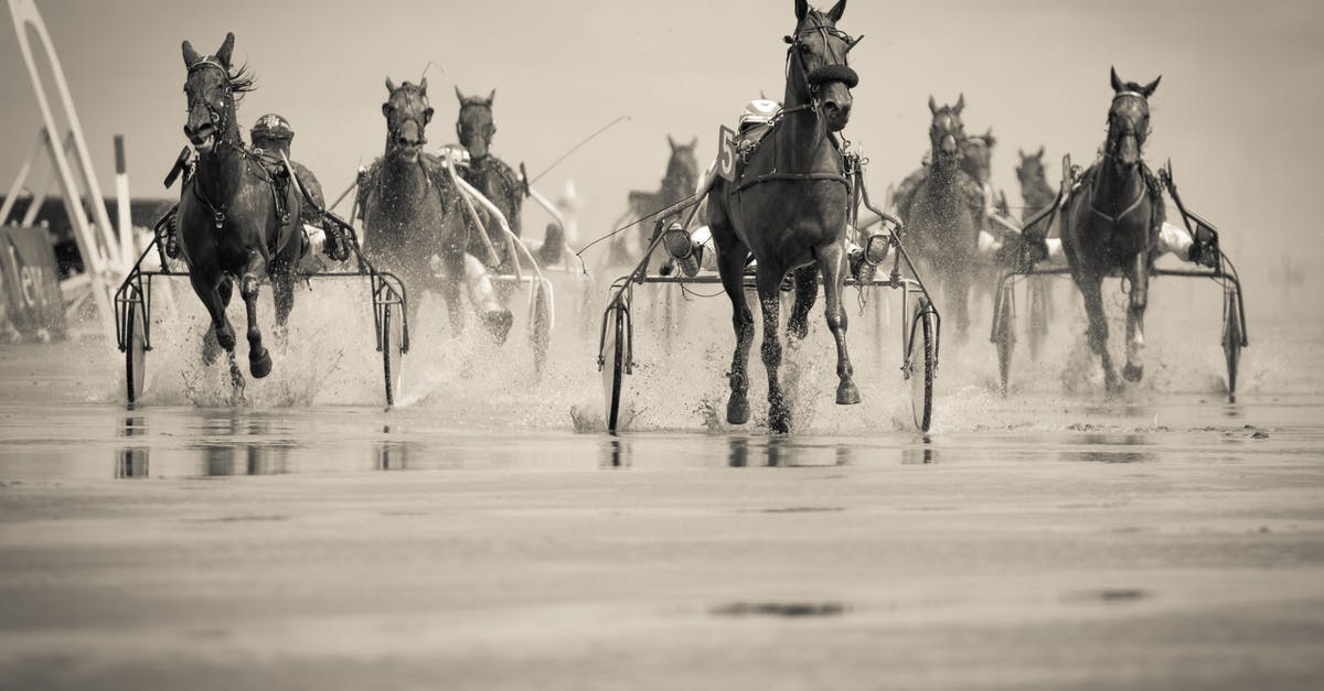 Can I ever reattempt a horse race after placing lower than first place? - Grayscale Photo of Group of Horse With Carriage Running on Body of Water