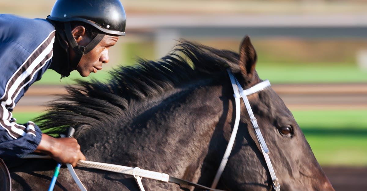 Can I ever reattempt a horse race after placing lower than first place? - Tilt Shift Focus Photography of Man Riding Horse