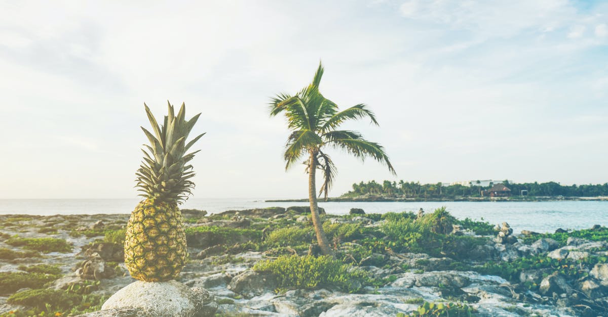 Can I get all the fruit types by visiting Random Islands? - Pineapple Fruit on Gray Stone