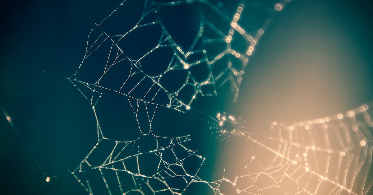 Can I get my AE2 network to see what's in my logistic pipes network? - Close Up Photography of Spider Web