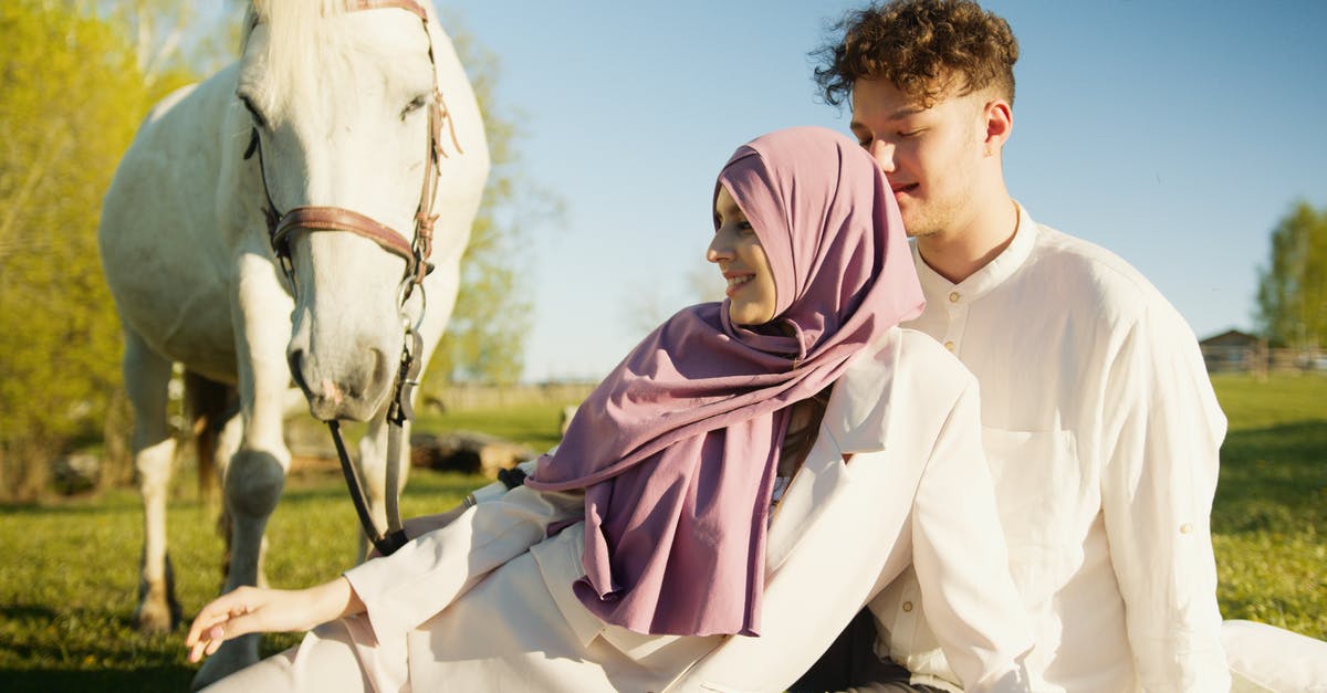 Can i get my horse into a boat? - Free stock photo of arab, arabian, arabic Can i get my horse into a boat? - Free stock photo of arab, arabian, arabic