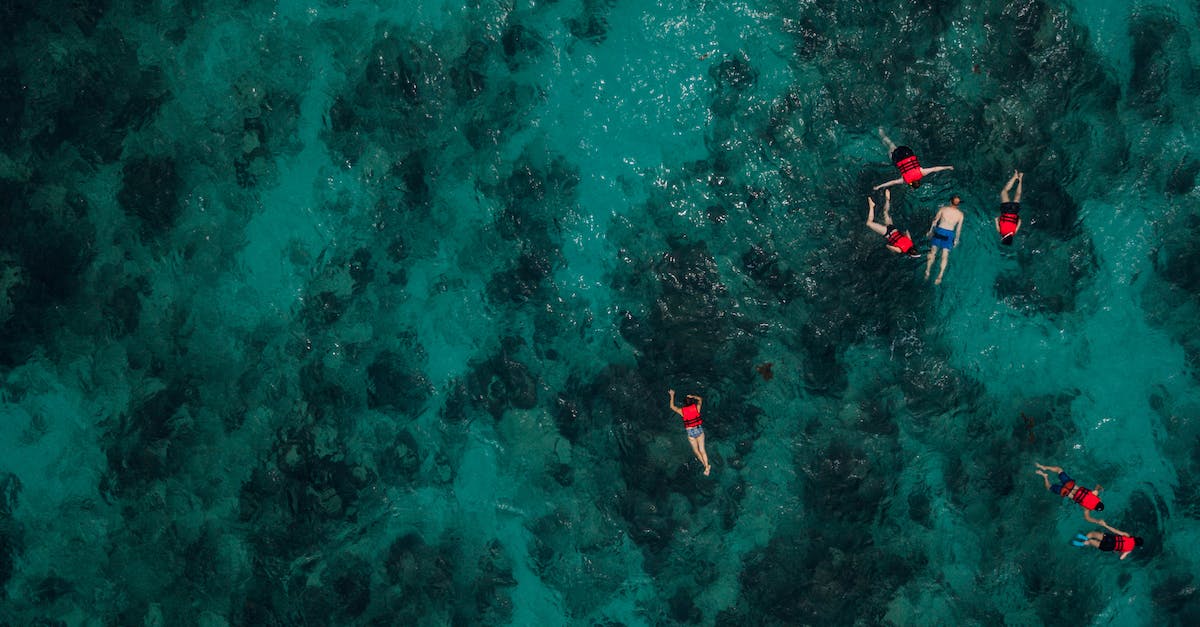 Can I get scuba gear for a mosquito? - People Snorkeling In Deep Water Can I get scuba gear for a mosquito? - People Snorkeling In Deep Water