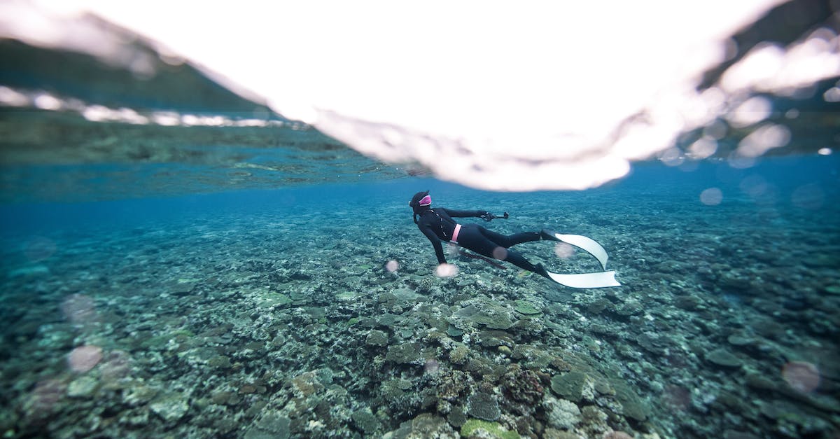 Can I get scuba gear for a mosquito? - Scuba Diver Swimming Under Surface Can I get scuba gear for a mosquito? - Scuba Diver Swimming Under Surface