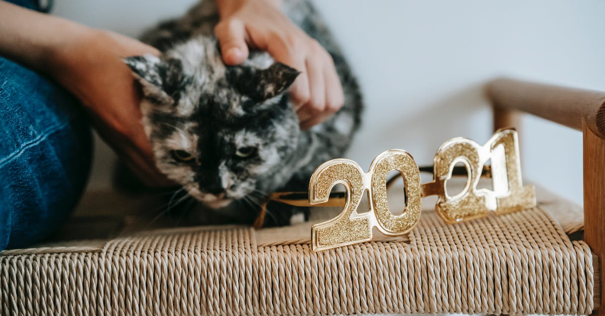 Can I increase the number of threads Steam uses for in-home streaming? - Crop anonymous female caressing fluffy cat with gray and black fur near numbers during New Year holiday at home