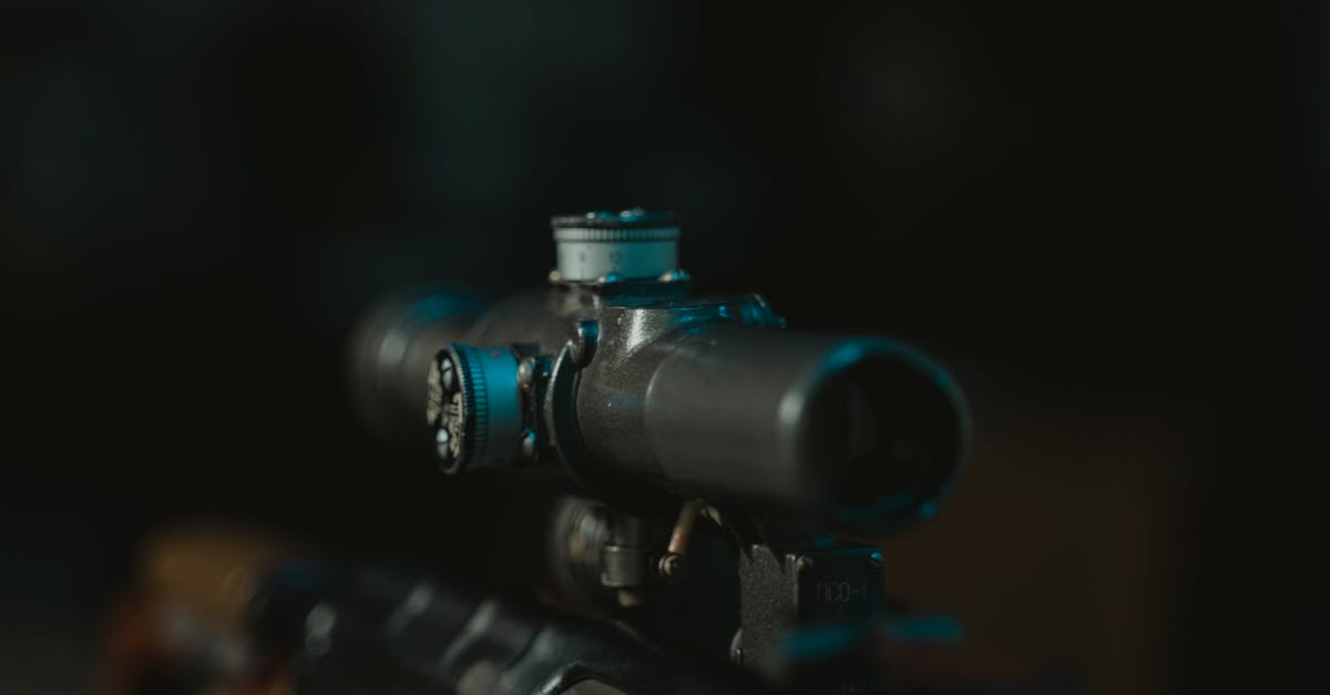 Can I increase the zoom of Widowmaker's sniper rifle? - Black and Gray Dslr Camera