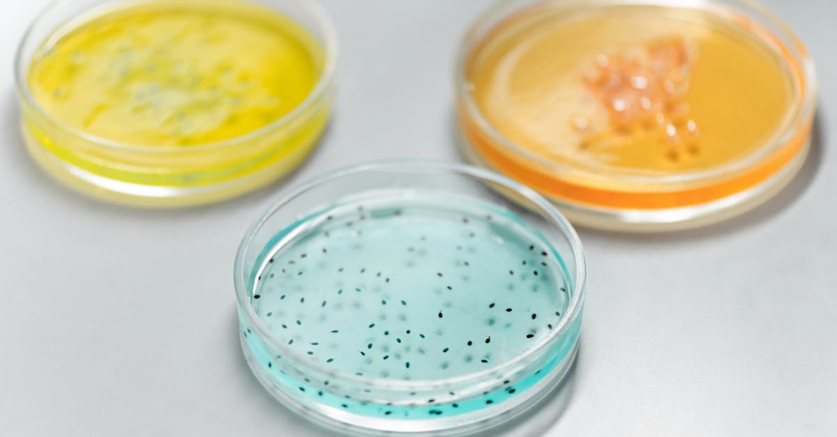 Can I join three factions in fallout 4 [duplicate] - Free stock photo of bacteria, biochemistry, biotechnology