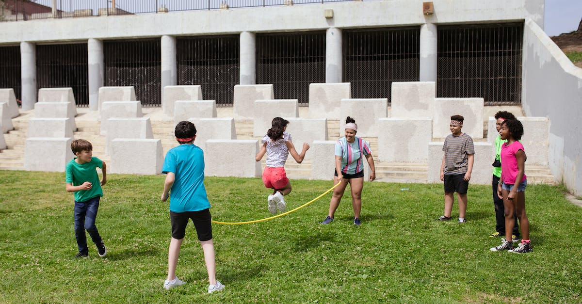 Can I play Skylanders: Trap Team on the Wii-U with two Pro controllers? - People Standing on Green Grass Field Can I play Skylanders: Trap Team on the Wii-U with two Pro controllers? - People Standing on Green Grass Field