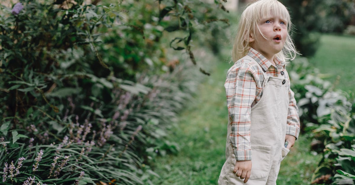 Can I play WoW without buying the latest expansion? [duplicate] - Curious little child standing in green garden and looking away