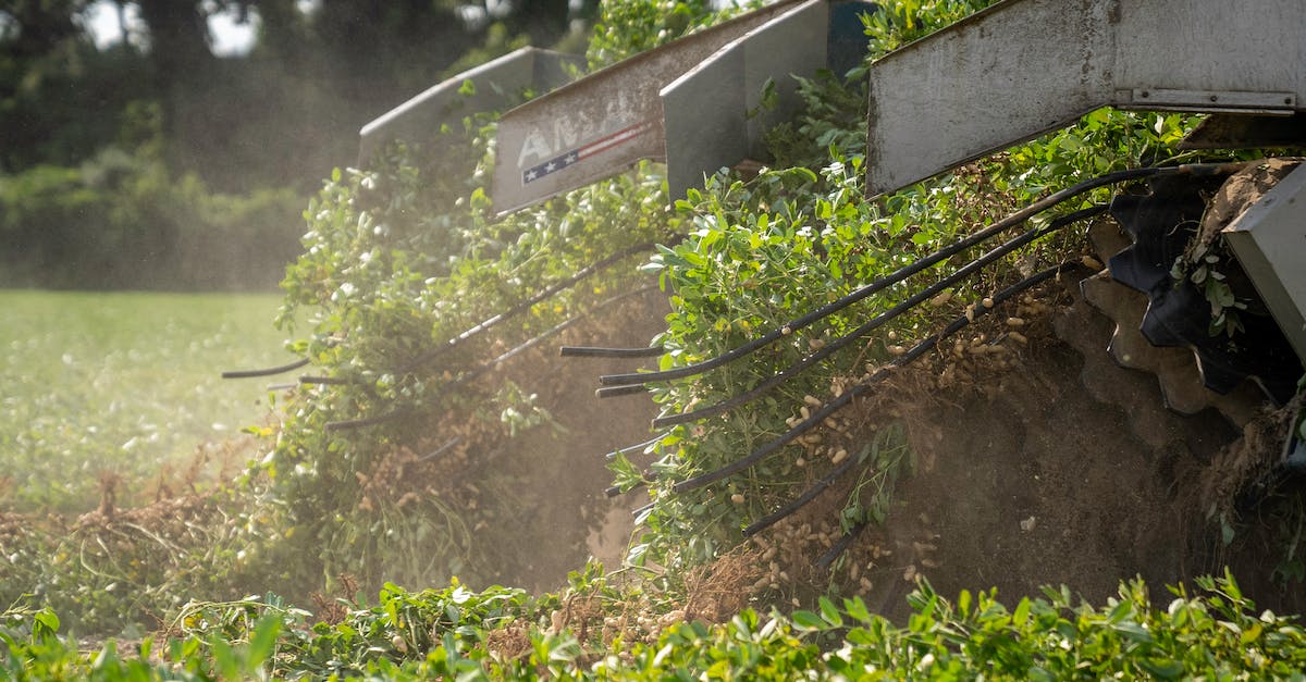 Can I remove a grass tile in Harvest Moon GBC? - Green Plants on Brown Soil Can I remove a grass tile in Harvest Moon GBC? - Green Plants on Brown Soil