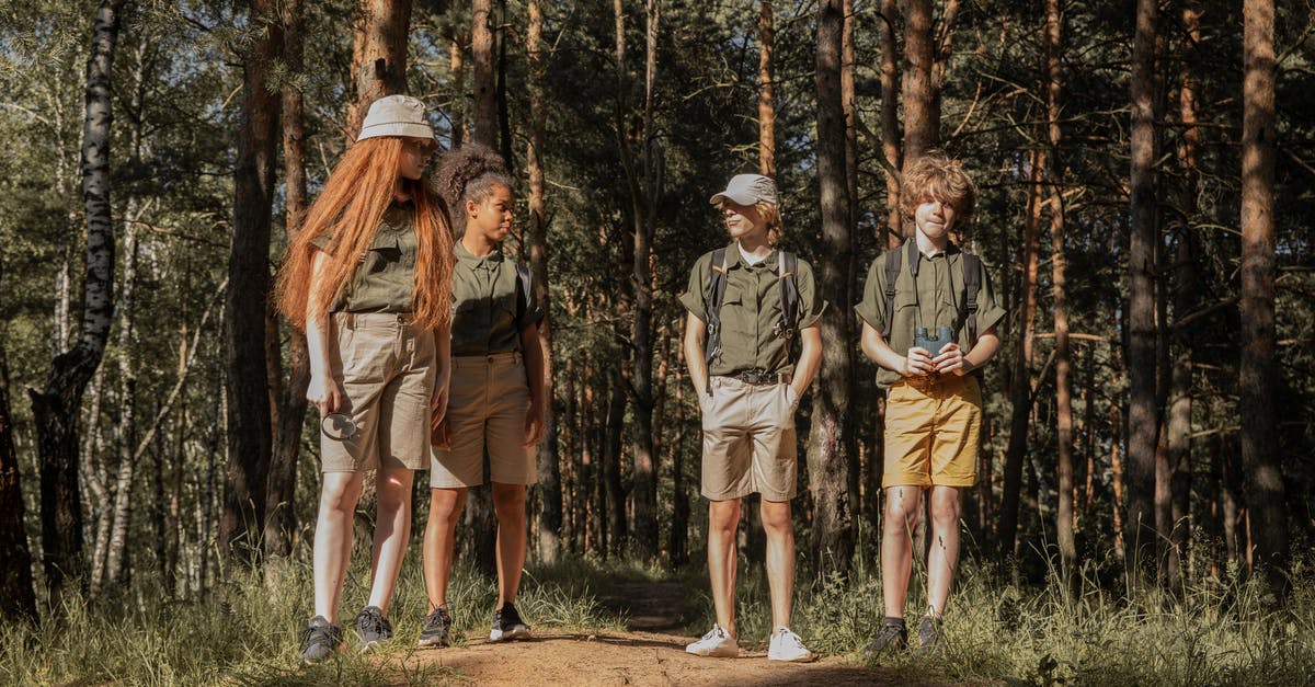 Can I select the main mission in my Pip-Boy? - Scouts Standing in Forest