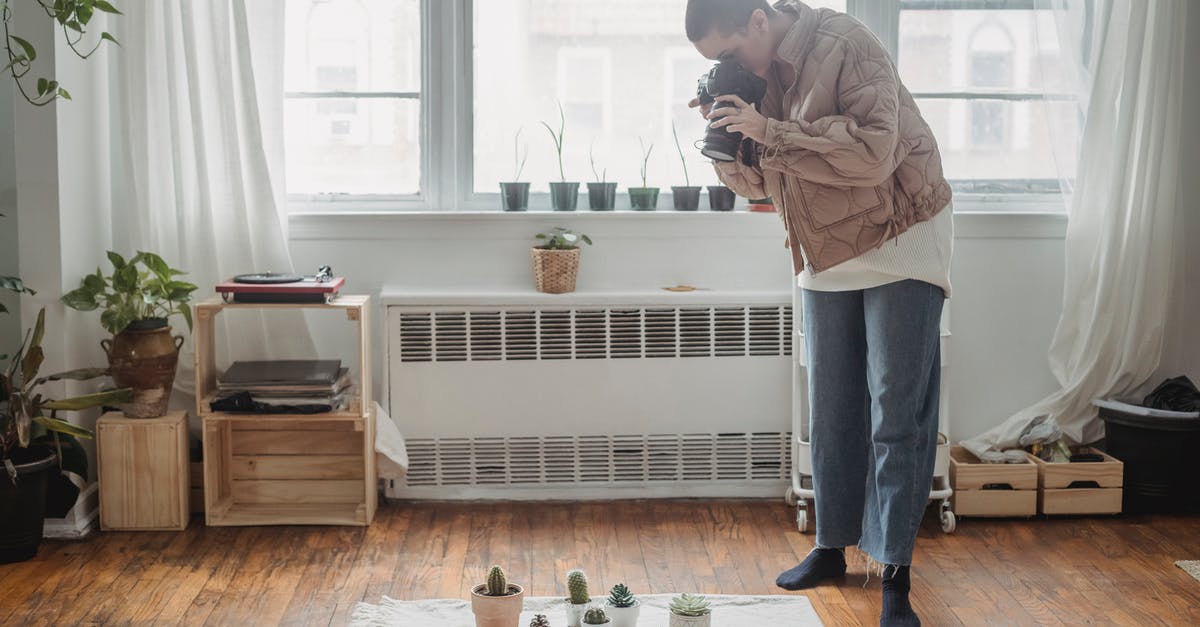 Can I shoot down lawless ships? - Full body professional female photographer in casual wear taking pictures on modern photo camera of cacti arranged on floor in light living room