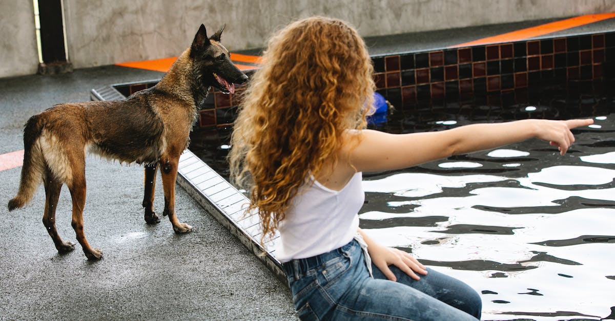 Can I tame a dinosaur that is immune to being knocked out? - Side view of anonymous woman with curly hair pointing with finger at pool against attentive dog outdoors Can I tame a dinosaur that is immune to being knocked out? - Side view of anonymous woman with curly hair pointing with finger at pool against attentive dog outdoors