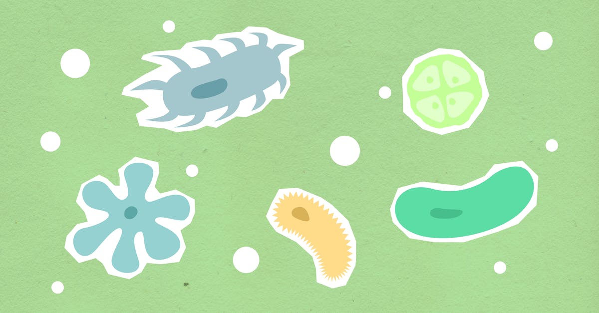 Can influenza spread to other countries? - Paper cutout of different shapes and colors contagious types of viruses on green background during disease outbreak