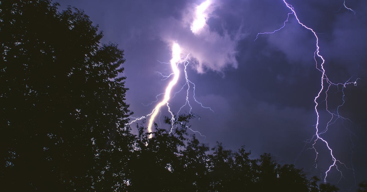Can lightning rods prevent trees from being hit by lightning? - Lightning Strike on Forest during Night Time Can lightning rods prevent trees from being hit by lightning? - Lightning Strike on Forest during Night Time