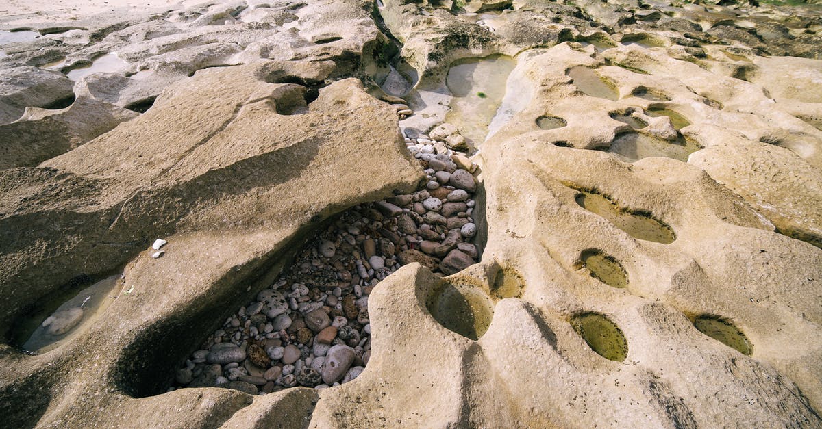 Can Pokemon caught on the Pokéwalker have their Hidden Abilities? - Rocks Hidden in Hole in Sand Can Pokemon caught on the Pokéwalker have their Hidden Abilities? - Rocks Hidden in Hole in Sand