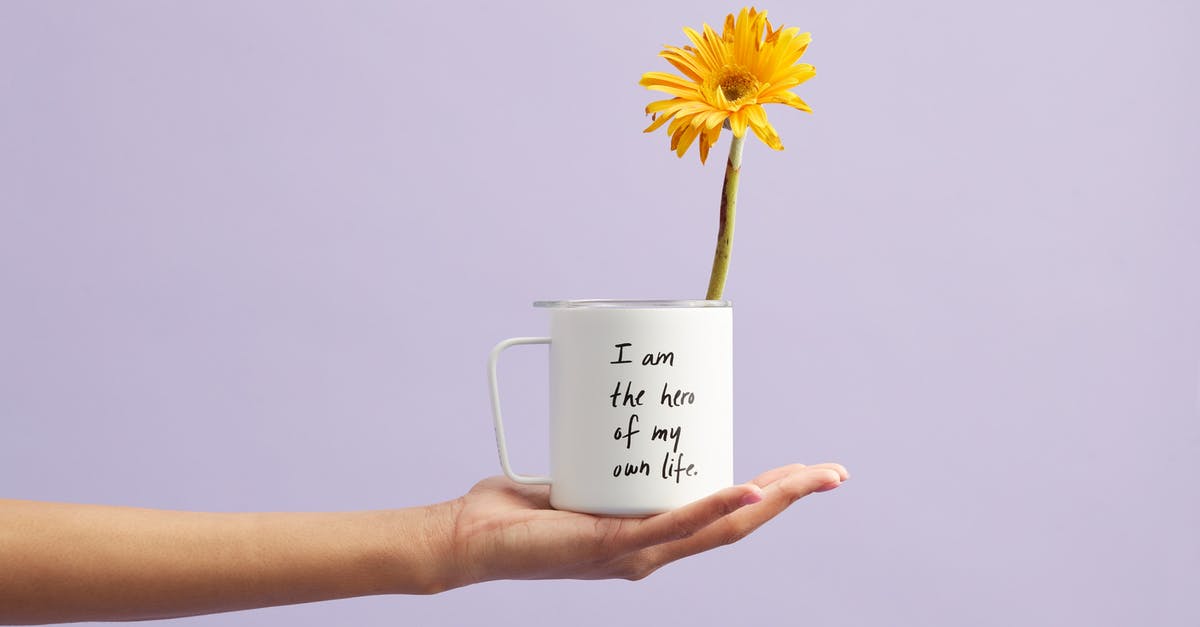 Can "Now or Never" quest be kept on hold? - Yellow Petaled Flower In White Mug Can "Now or Never" quest be kept on hold? - Yellow Petaled Flower In White Mug