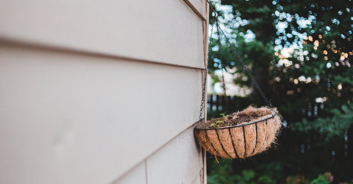 Can Roadhog's Chain Hook interrupt Reinhardt's Charge? - Decorative pot with small plant hanging on wall outdoors Can Roadhog's Chain Hook interrupt Reinhardt's Charge? - Decorative pot with small plant hanging on wall outdoors