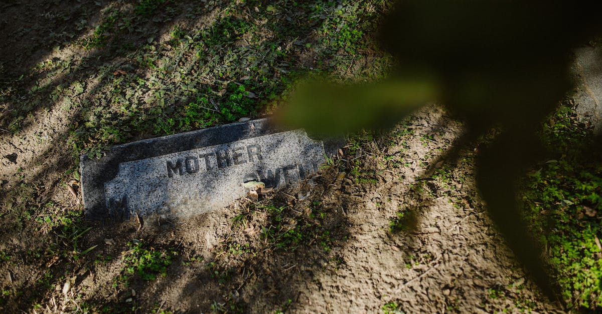 Can Shadow Word: Death kill a Spellbender minion? - Gray Concrete in Brown Soil Can Shadow Word: Death kill a Spellbender minion? - Gray Concrete in Brown Soil