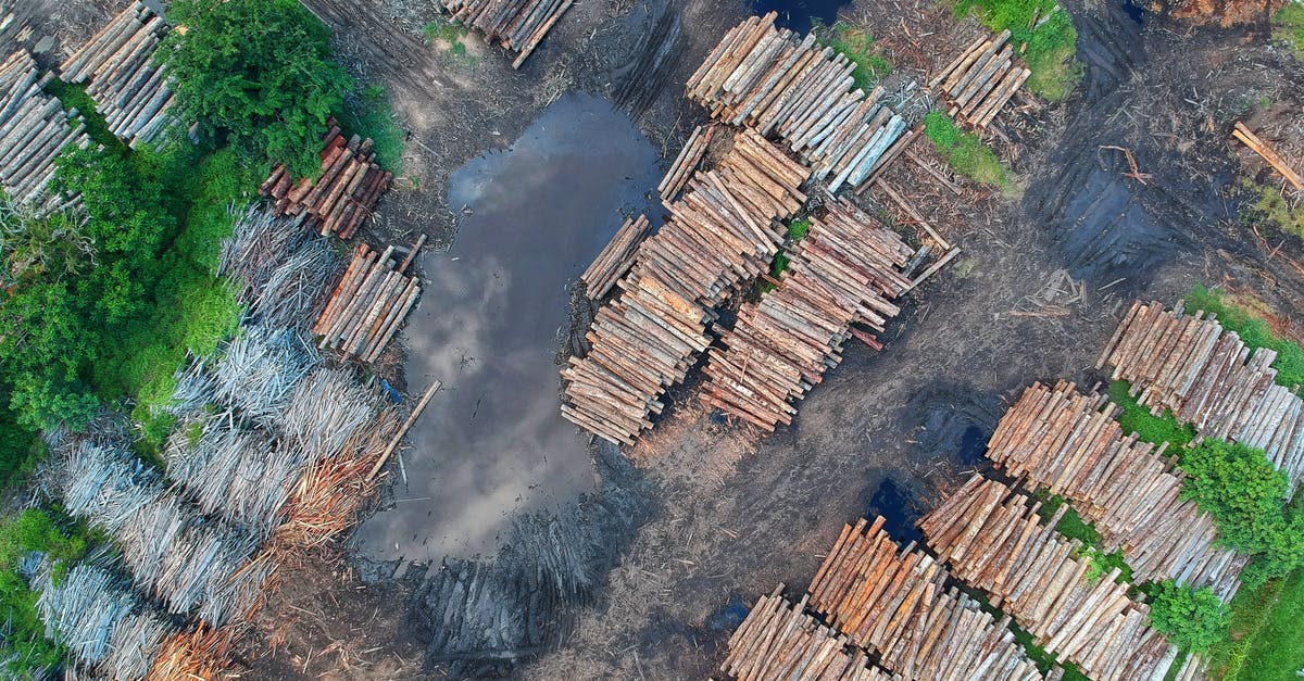 Can someone explain how do you stack Yasuo's E? - Bird's Eye View of Woodpile Can someone explain how do you stack Yasuo's E? - Bird's Eye View of Woodpile