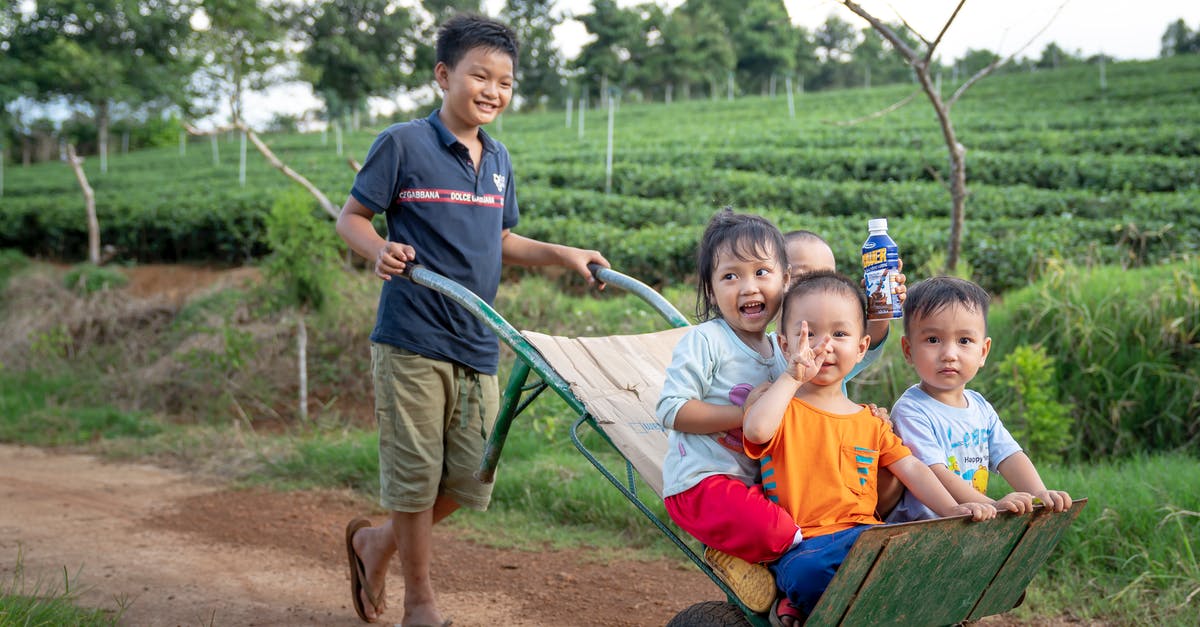 Can the same enemy in the same battle have more hp than other enemy of the same type? - Funny Asian toddlers having fun while brother riding metal wheelbarrow on rural road in green agricultural plantation