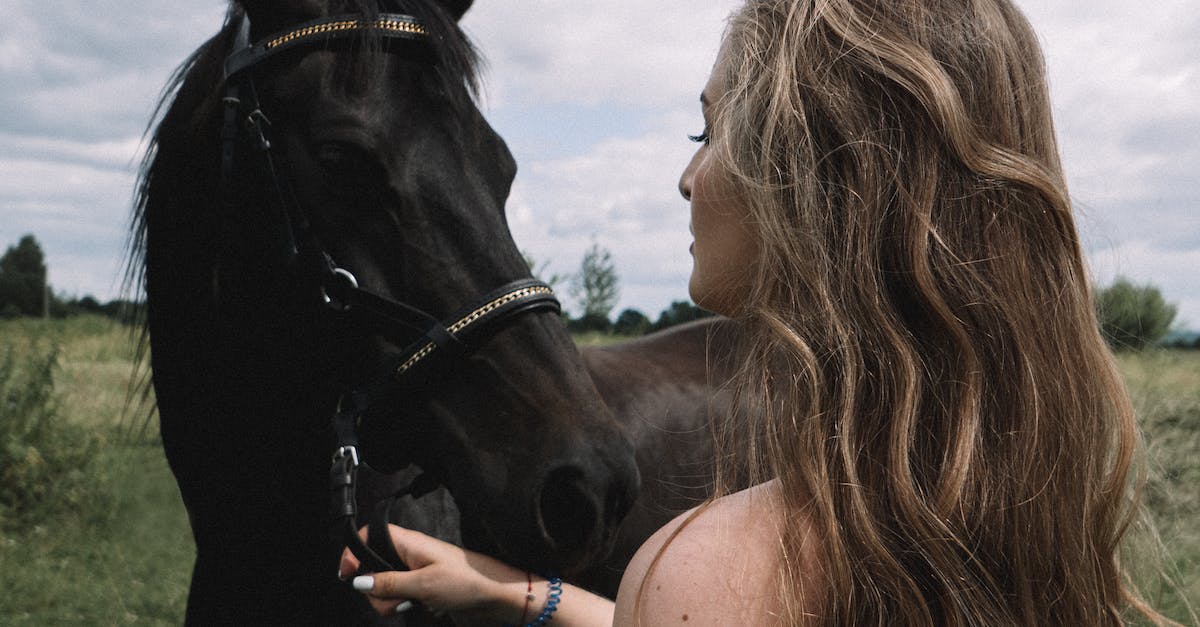 Can you change your hair in Animal Crossing Gamecube? - Free stock photo of animal, cavalry, equestrian Can you change your hair in Animal Crossing Gamecube? - Free stock photo of animal, cavalry, equestrian