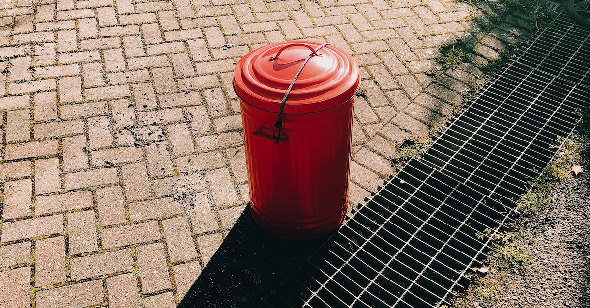 Can you find shadow orbs in terraria demo? - High angle of red metal trash can placed on pavement near sewer grates in city street in sunny summer day