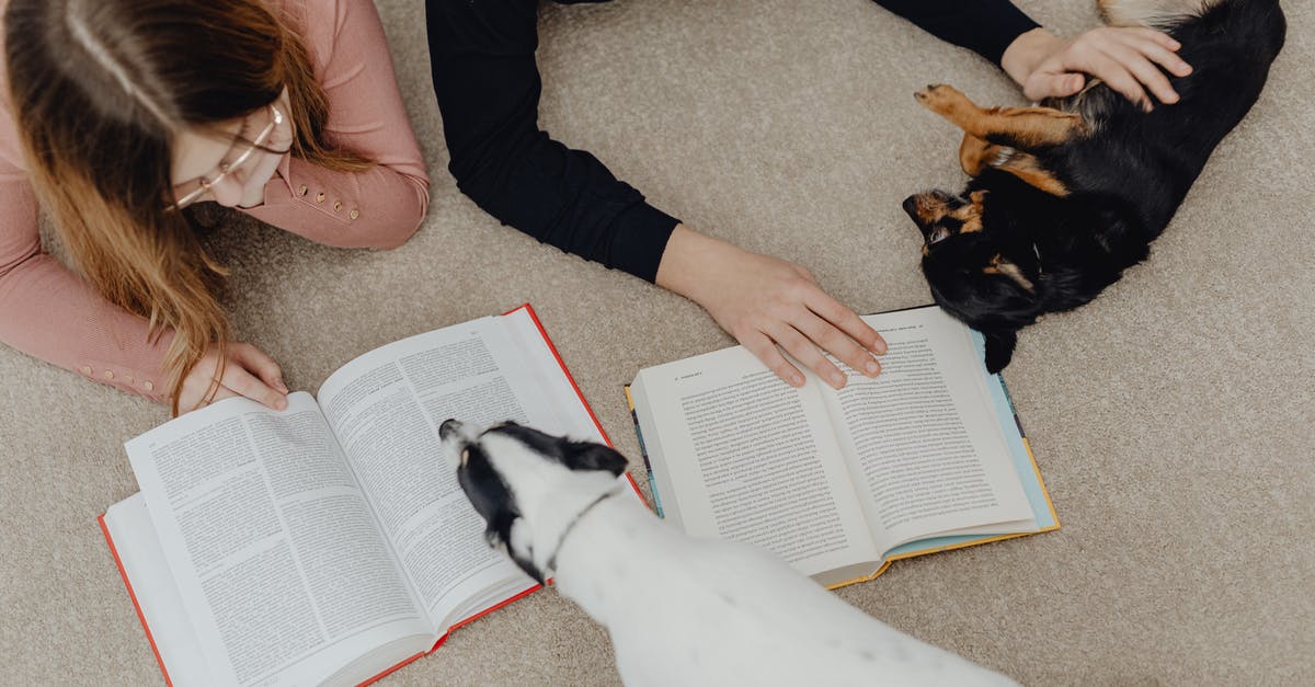 Can you get dogs or cats without the Pets expansion? - Free stock photo of adult, beautiful, bed Can you get dogs or cats without the Pets expansion? - Free stock photo of adult, beautiful, bed