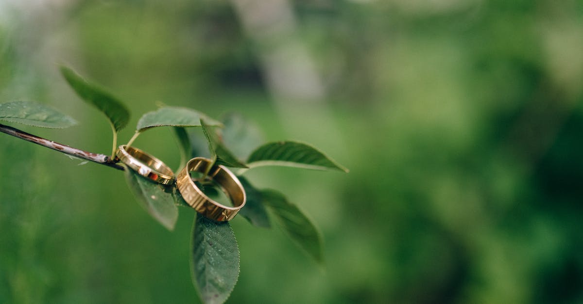 Can you have two Animal Crossing: New Leaf files? - Brown and Black Bee on Green Leaf Can you have two Animal Crossing: New Leaf files? - Brown and Black Bee on Green Leaf