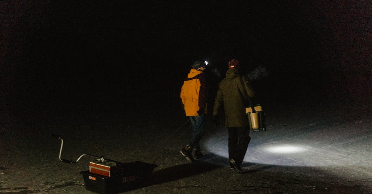 Can you import a save from The Walking Dead Season 2 to Michonne? - Men Walking on Frozen Lake