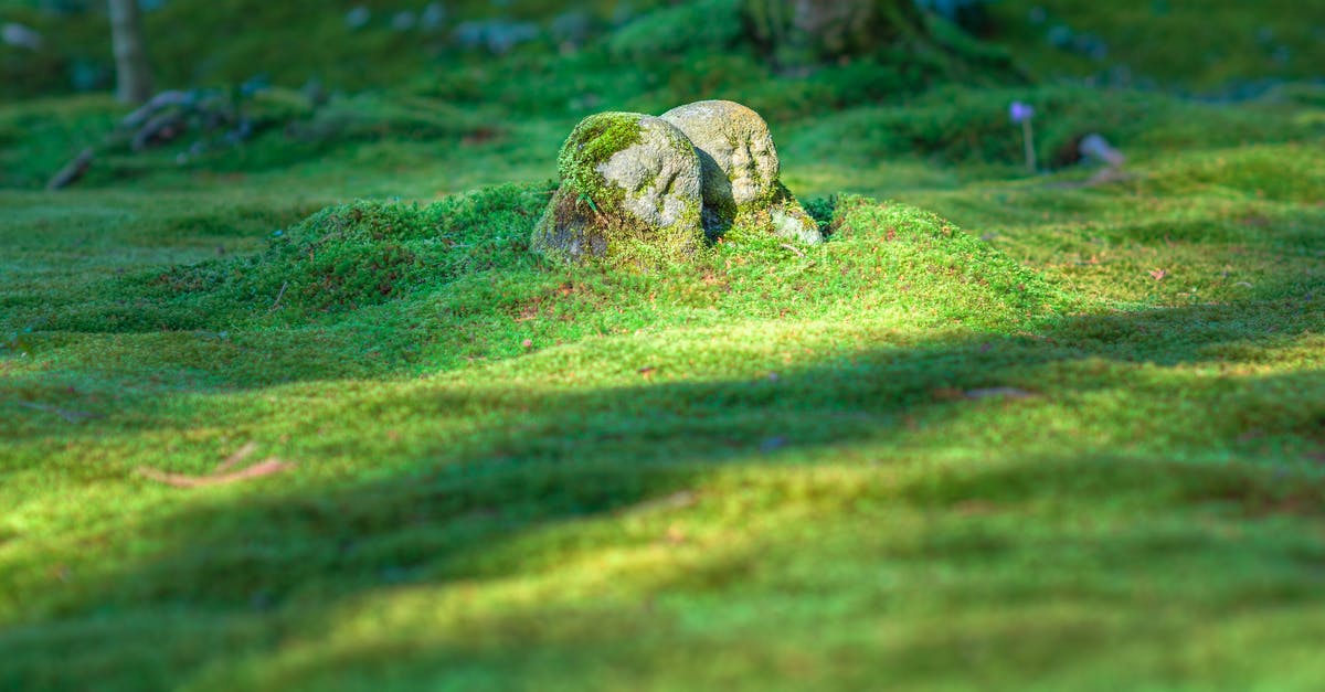 Can you keep the statue at the end? - Gray Rock Formation on Grass Field Can you keep the statue at the end? - Gray Rock Formation on Grass Field