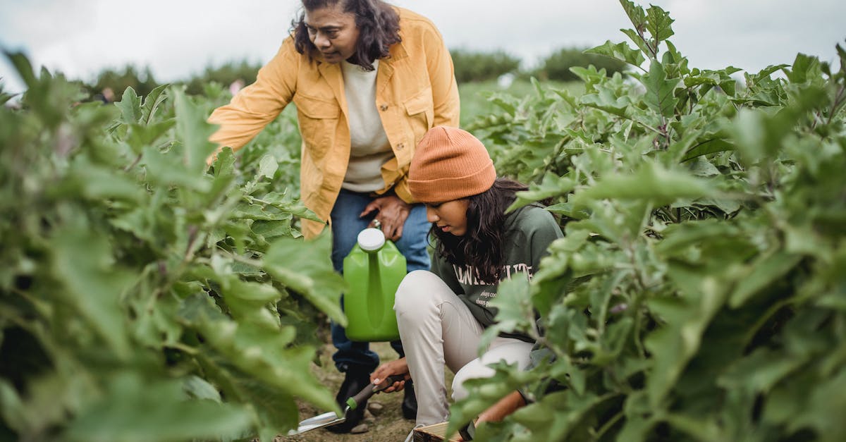 Can you land an asteroid? - Adult ethnic female gardener with watering can near squatting daughter with trowel working land of plants on plantation