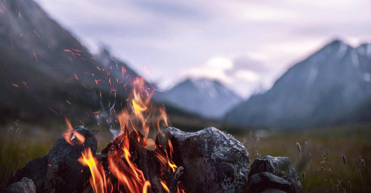 Can you lower a bonfire intensity after burning a bonfire ascetic? - Burning Wood on Rocky Shore