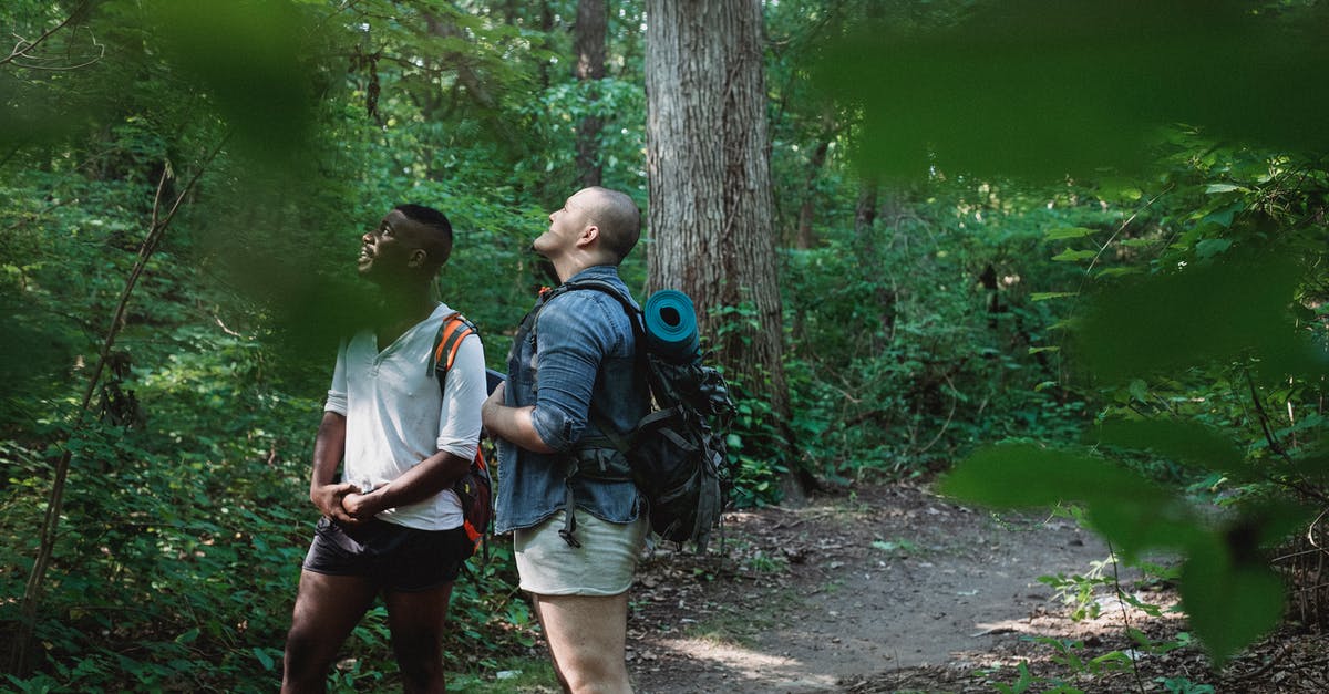 Can you pick up Pete's Watch in Walking Dead - Season 2 - Diverse people with backpacks admiring peaceful trees with green leaves while standing on path in soft focus Can you pick up Pete's Watch in Walking Dead - Season 2 - Diverse people with backpacks admiring peaceful trees with green leaves while standing on path in soft focus