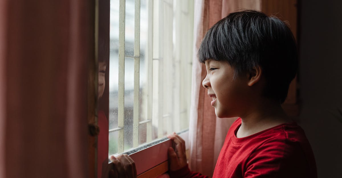 Can you play GTA 5, haven't played GTA 4? - Side view content little Asian boy in red shirt wrinkling nose and grimacing while standing near window and looking out