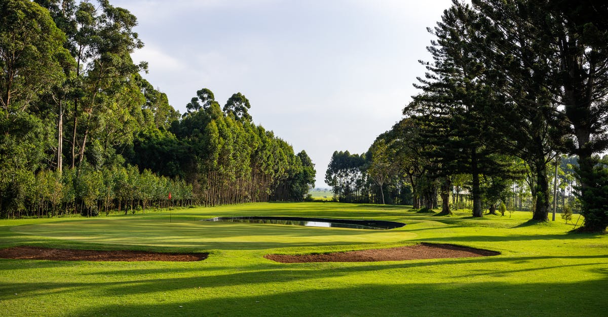 Can you share items between workshops? [duplicate] - View of Golf Playground Between Rows of Tall Trees