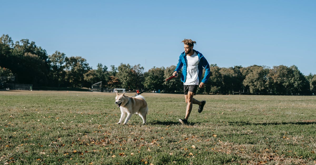 Can you spend your time just walking around in Animal Crossing? - Ethnic male in casual clothes running on green lawn with adorable dog in sunny park