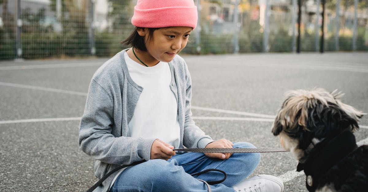 Can you spend your time just walking around in Animal Crossing? - Attentive ethnic kid in casual wear sitting with crossed legs near cute dog in town