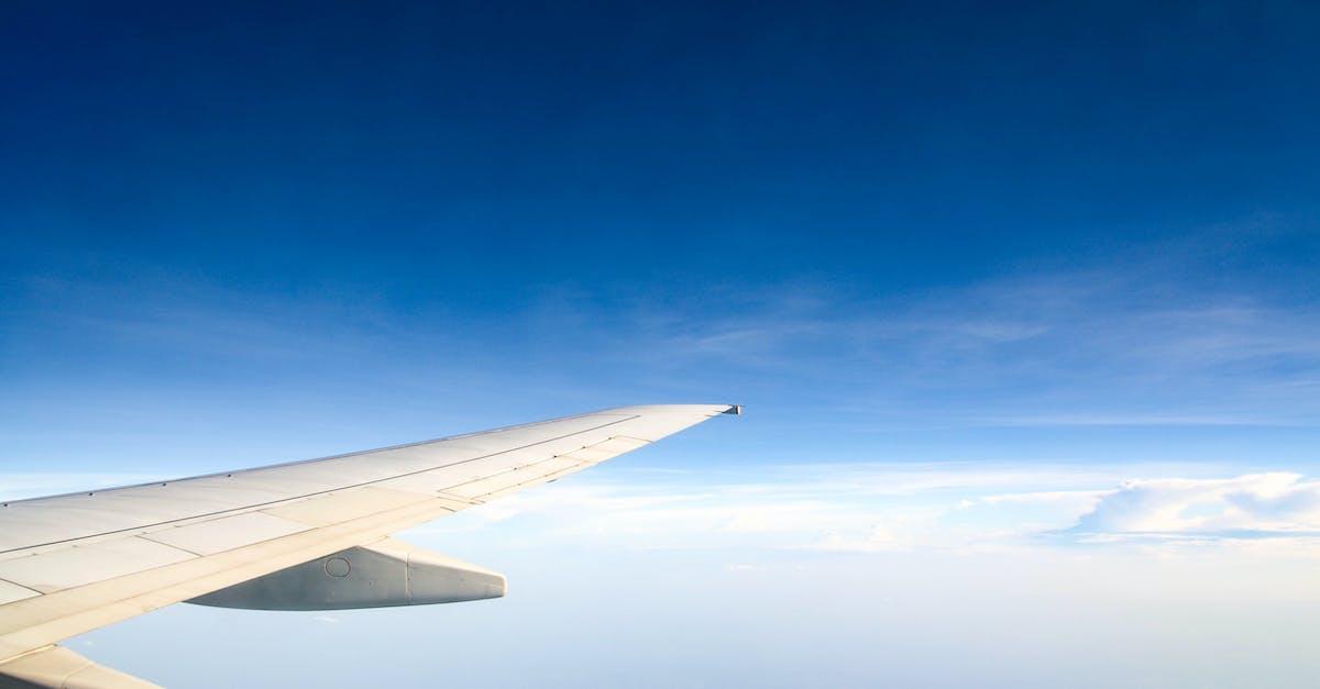 Can you use high tier wings with other wings in the social slot? - Photography of Aircraft Wing