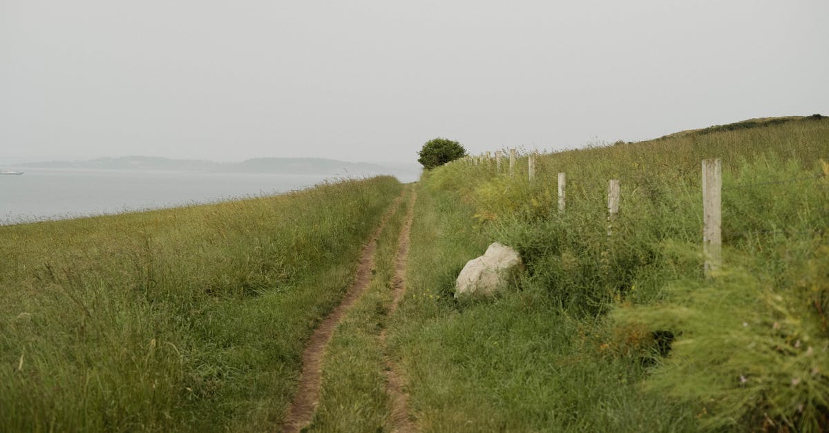 Can’t find a way to break the fourth pillar in the links awakening remake - Narrow path in green field