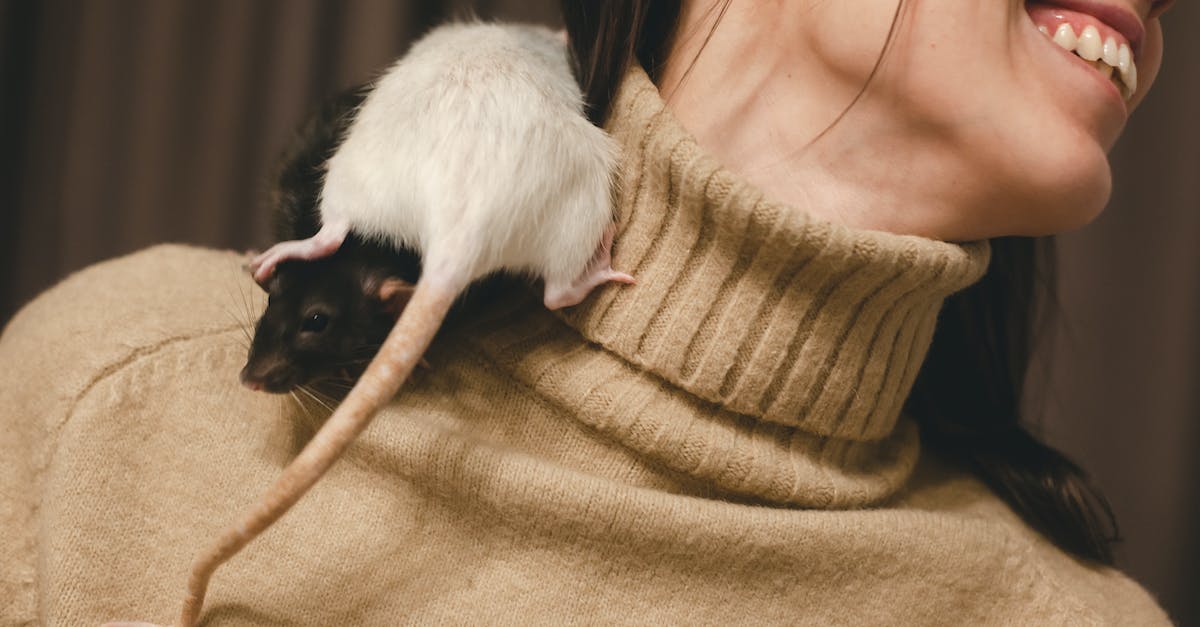 CAPS LOCK freezes mouse - Woman in Brown Knit Sweater Holding White and Black Cat