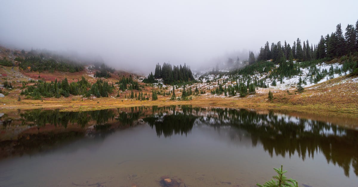 Capturing a Chocobo early in the game - Mountain Lake in Early Morning
