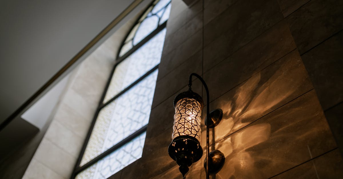 Castlevania Lords of Shadow last boss - Black and Brown Pendant Lamp Castlevania Lords of Shadow last boss - Black and Brown Pendant Lamp
