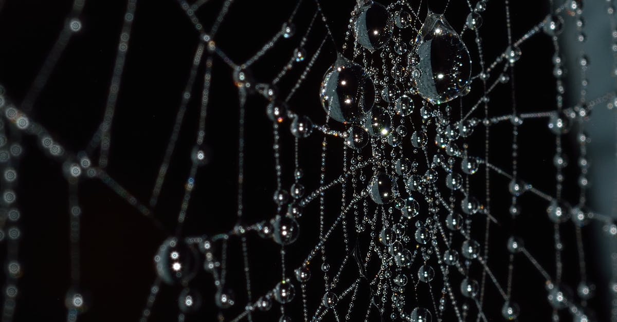 Cave spider trap issues - Water Droplets on Spider Web