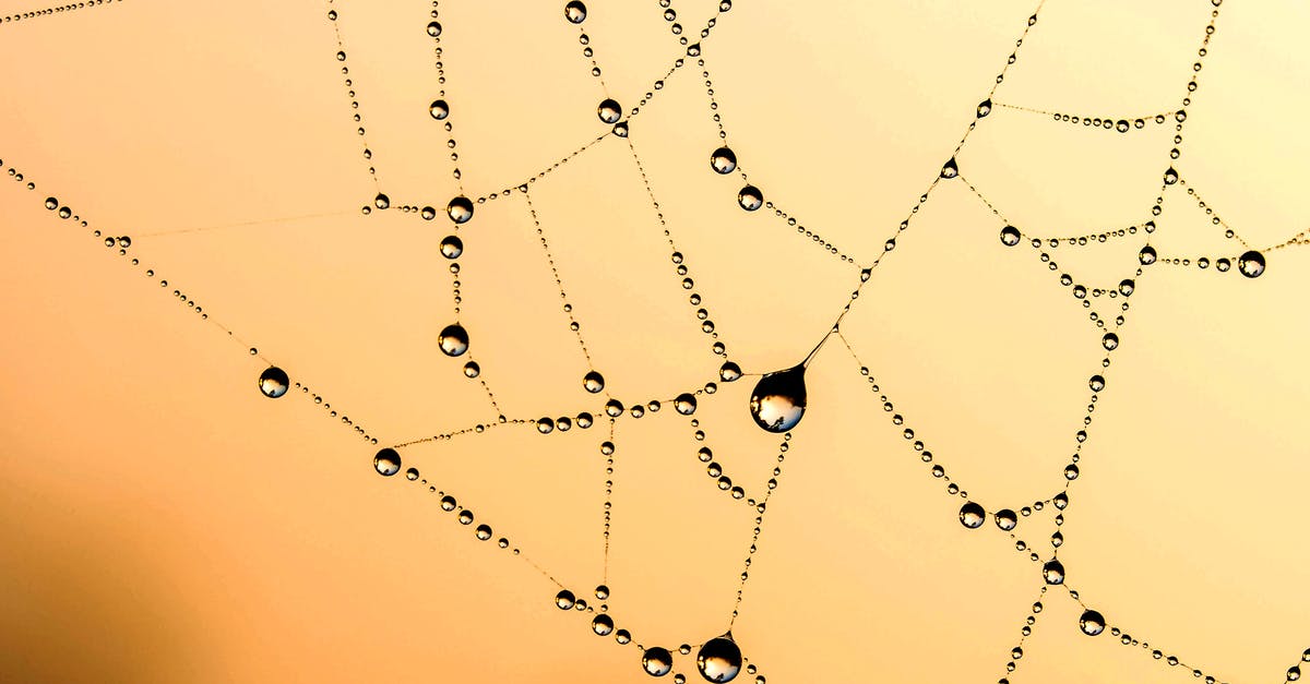 Cave spider trap issues - Spider Web With Dew Vector Art Cave spider trap issues - Spider Web With Dew Vector Art
