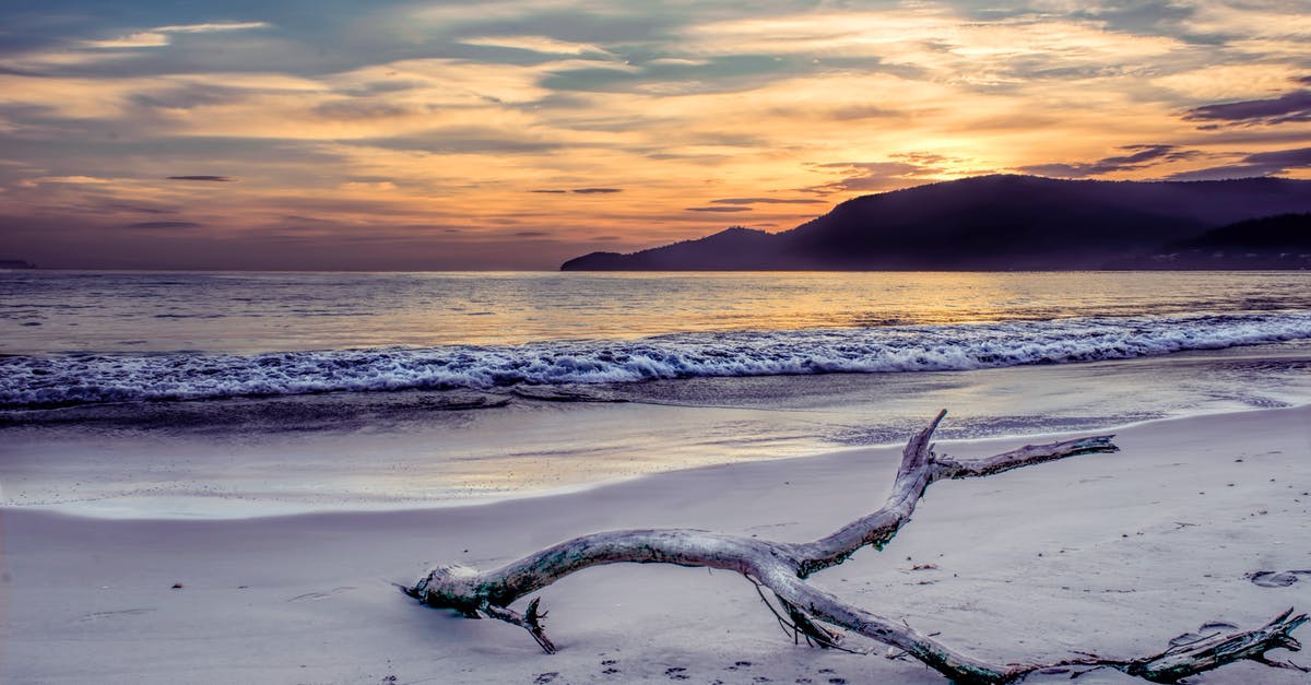Champion Island; Where are the three pieces of driftwood that the Kijimuna asks you to find? - Body of Water Near Mountain Under Gray Sky at Golden Hour
