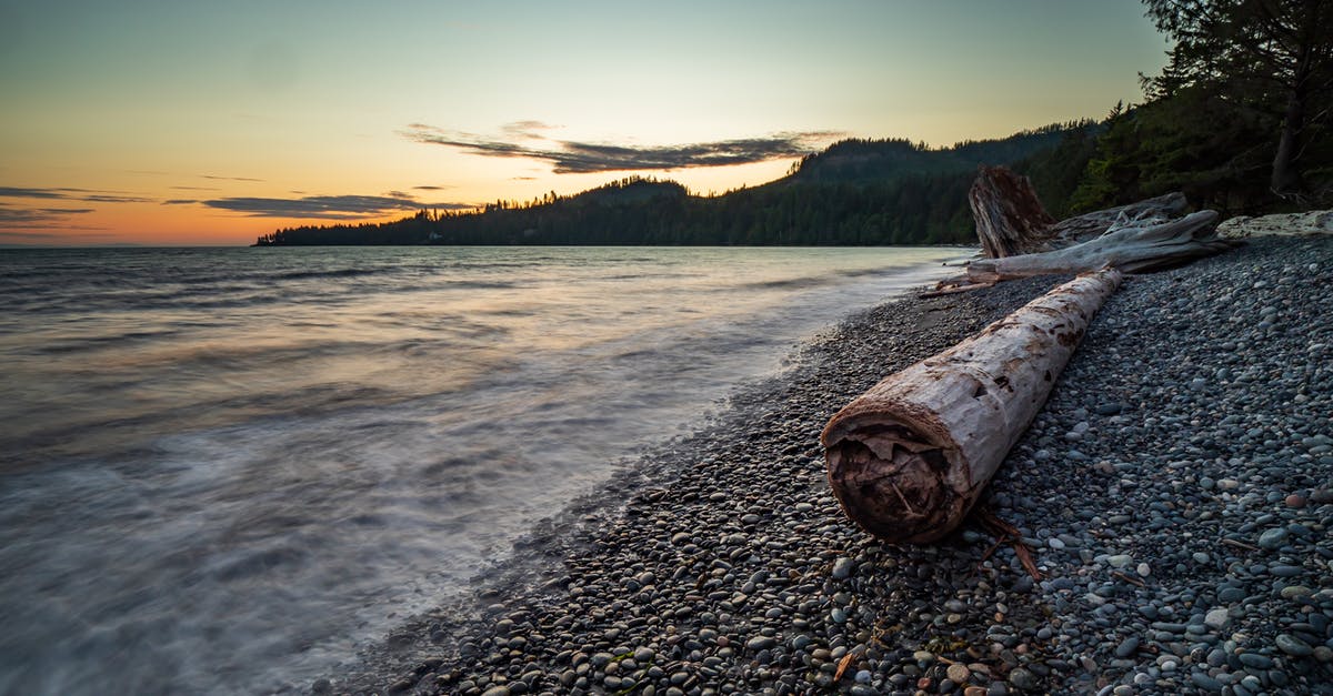 Champion Island; Where are the three pieces of driftwood that the Kijimuna asks you to find? - Brown Wood Log On Shore